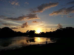 Palm Aire Country Club - Palms Course - photo 3