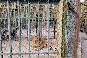 Kenana Park zoo image