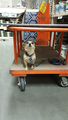 Home Improvement Store «The Home Depot», reviews and photos, 600 S Harbor Blvd, La Habra, CA 90631, USA