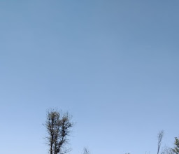 CET (no cerro comunal) photo