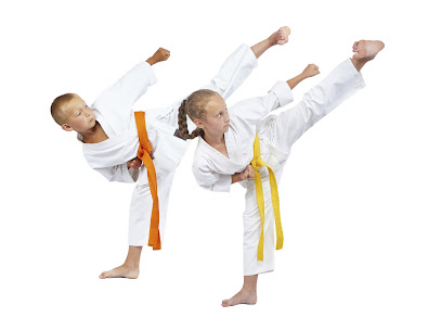 Centre De Karate Shorin Ryu