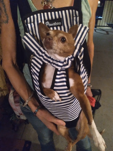 Thrift Store «Goodwill», reviews and photos, 390 Plaza Dr, Folsom, CA 95630, USA