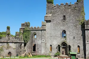 Leap Castle, Ireland image