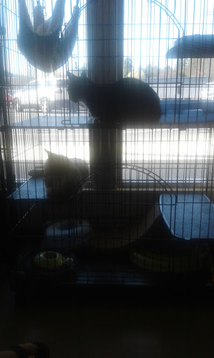 Pet Supply Store «Petsense Rome», reviews and photos, 2511 Redmond Cir, Rome, GA 30165, USA