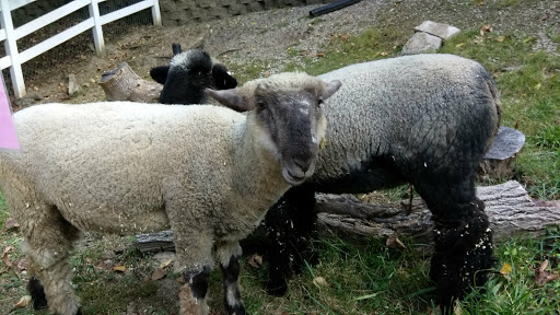 Park «Bever Park», reviews and photos, 2700 Bever Ave SE, Cedar Rapids, IA 52403, USA