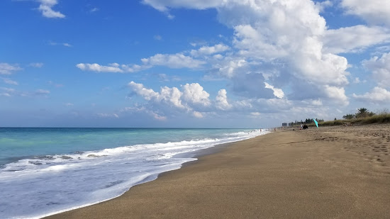 Porpoise beach