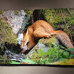 Photo n°12 de l'avis de mario.a fait le 16/08/2021 à 16:55 sur le  Ristorante La Polveriera à Bard