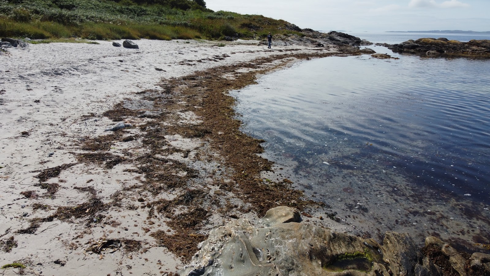 Photo de Seal Point Beach - endroit populaire parmi les connaisseurs de la détente