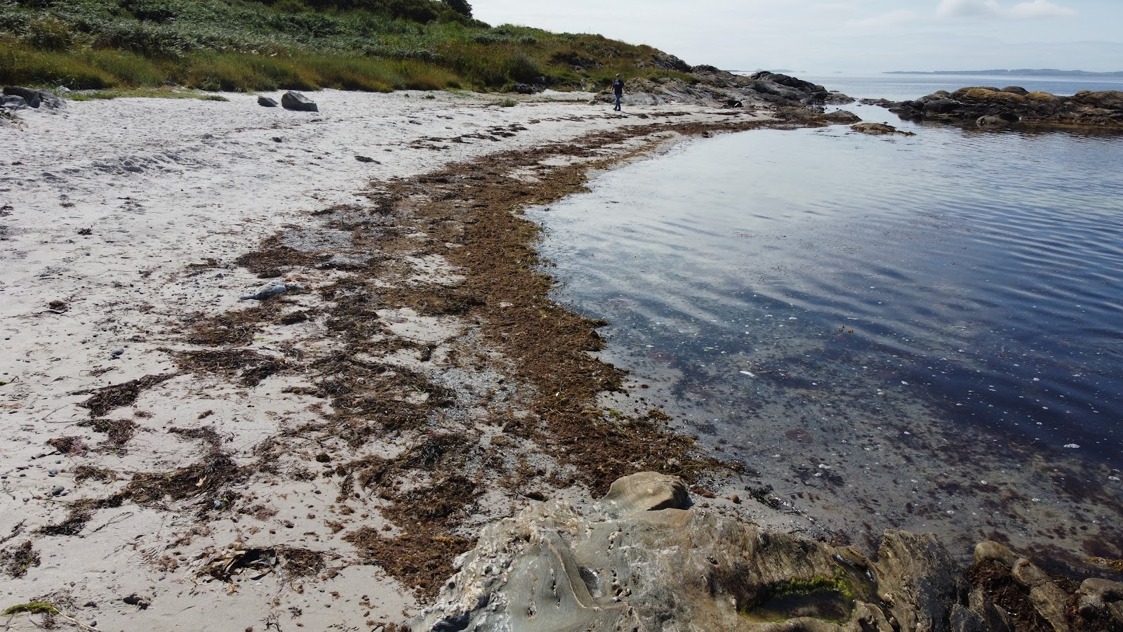 Photo of Seal Point Beach and the settlement