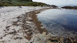 Photo de Seal Point Beach - endroit populaire parmi les connaisseurs de la détente