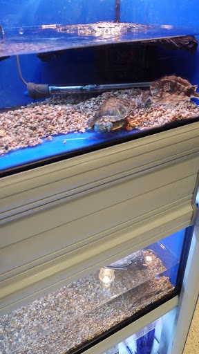 Pet Supply Store «PetSmart», reviews and photos, 1559 Merritt Blvd, Dundalk, MD 21222, USA