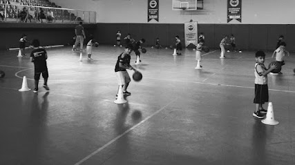 FYL Basketbol Okulu