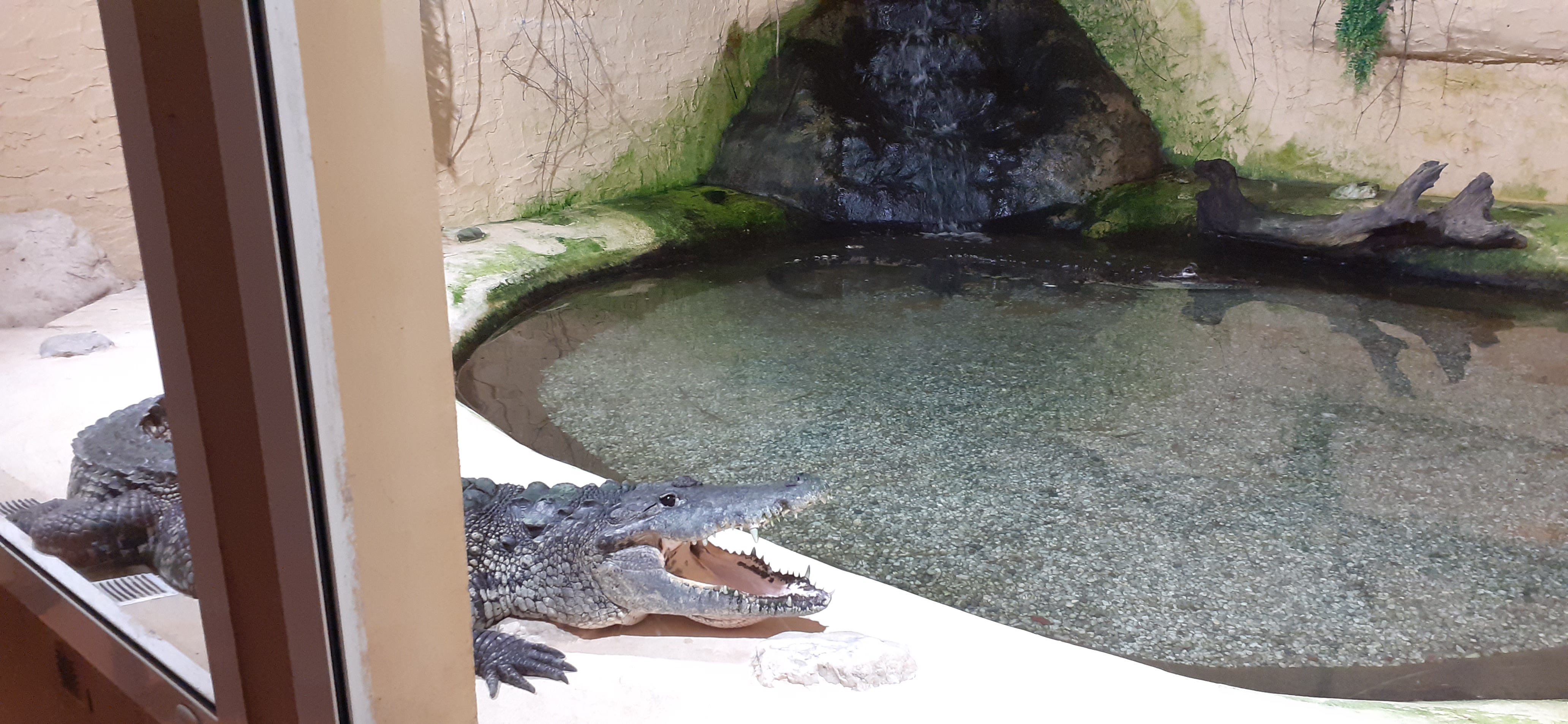 Photo n° 4 de l'avis de N. fait le 25/07/2022 à 14:07