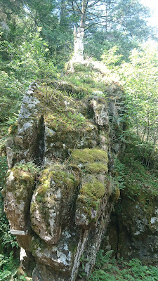 Gîte Gimel-les-Cascades à Gimel-les-Cascades