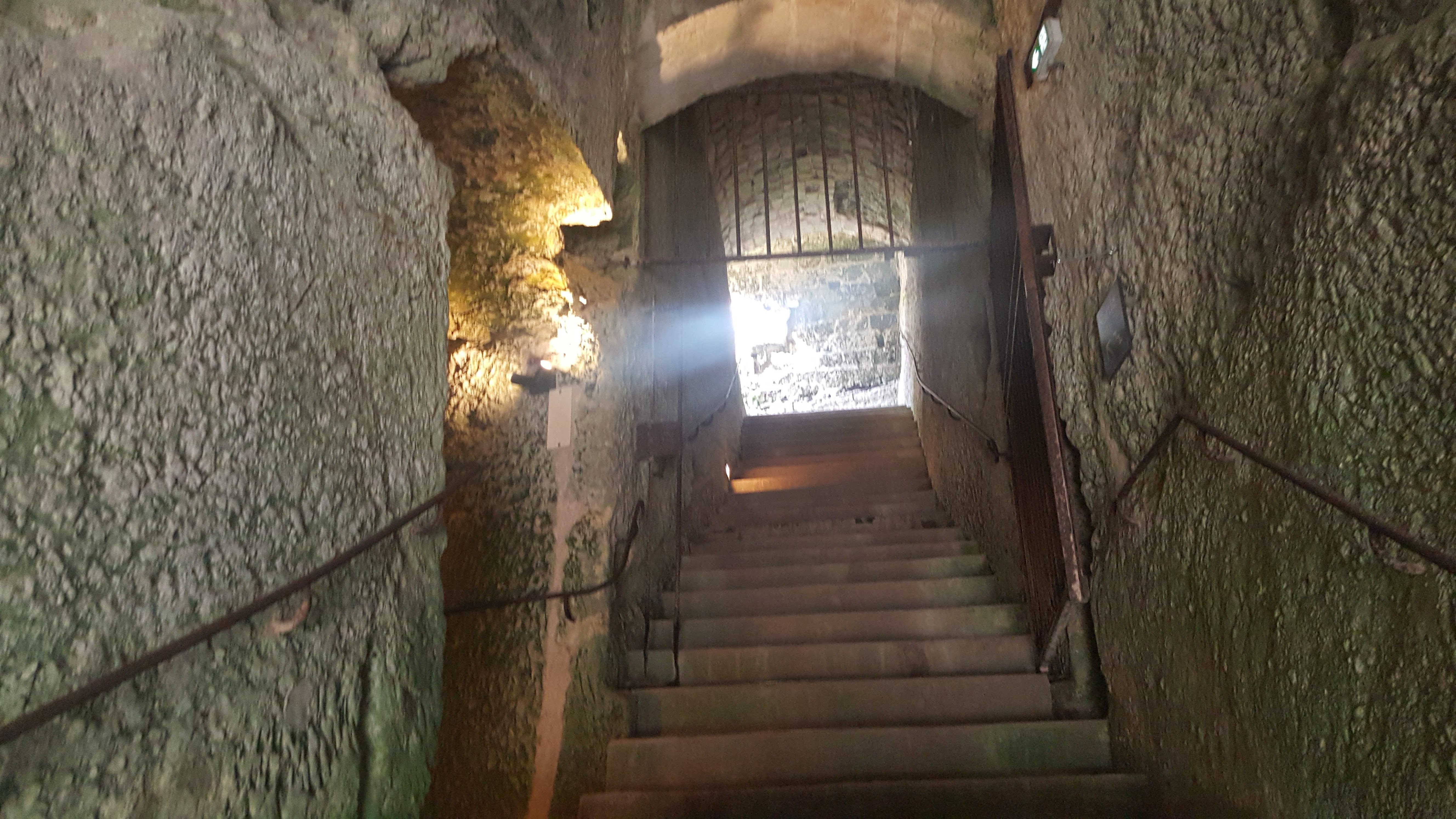 Photo n° 3 de l'avis de Dory.b fait le 12/06/2019 à 14:53