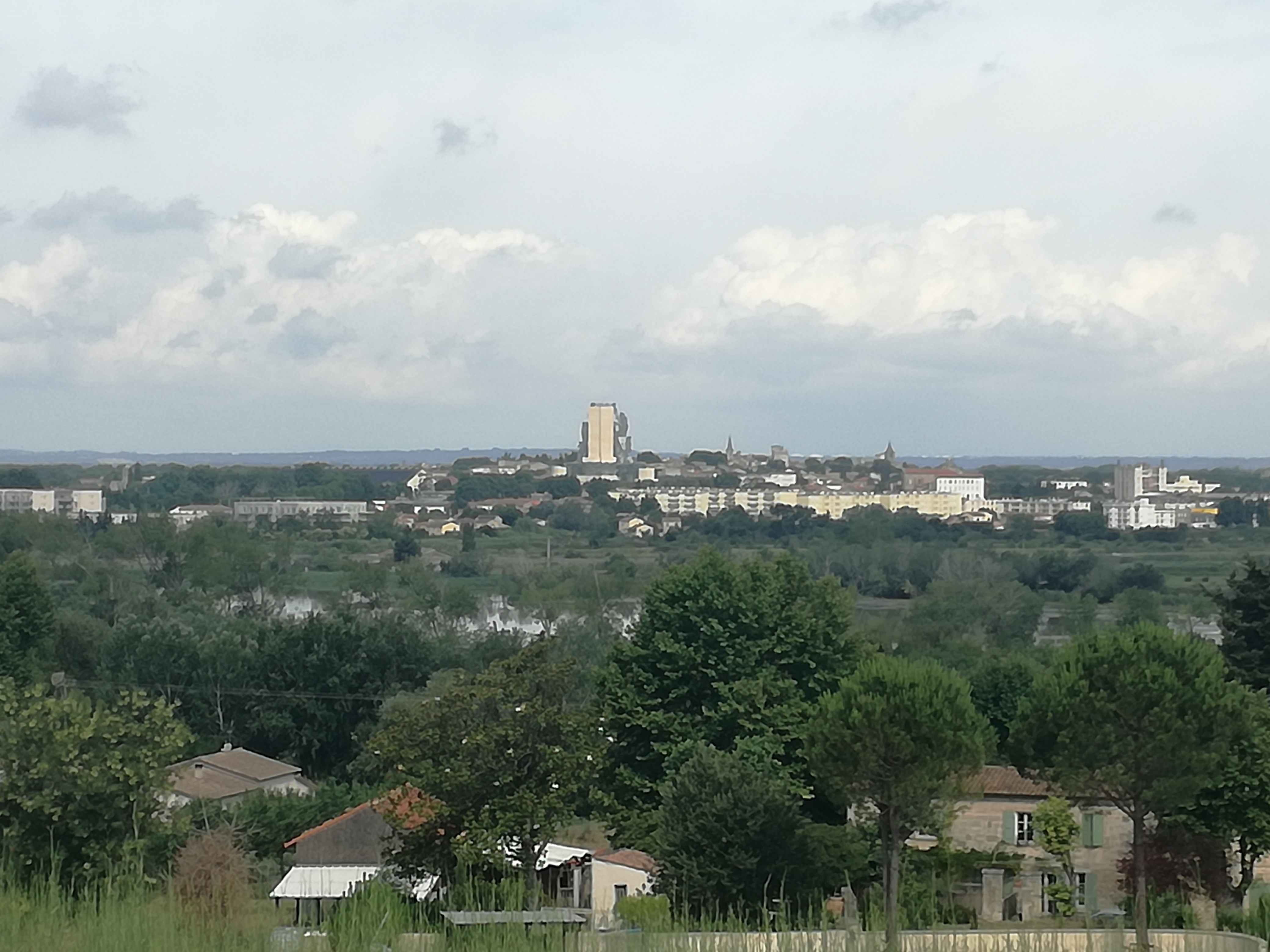 Photo n° 1 de l'avis de Sauvage. fait le 17/06/2022 à 14:05