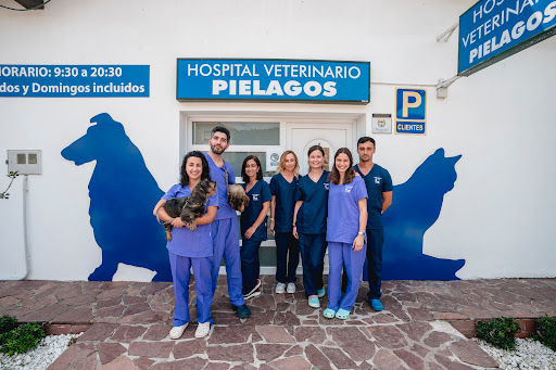 Hospital Veterinario Piélagos en Quijano de Piélagos