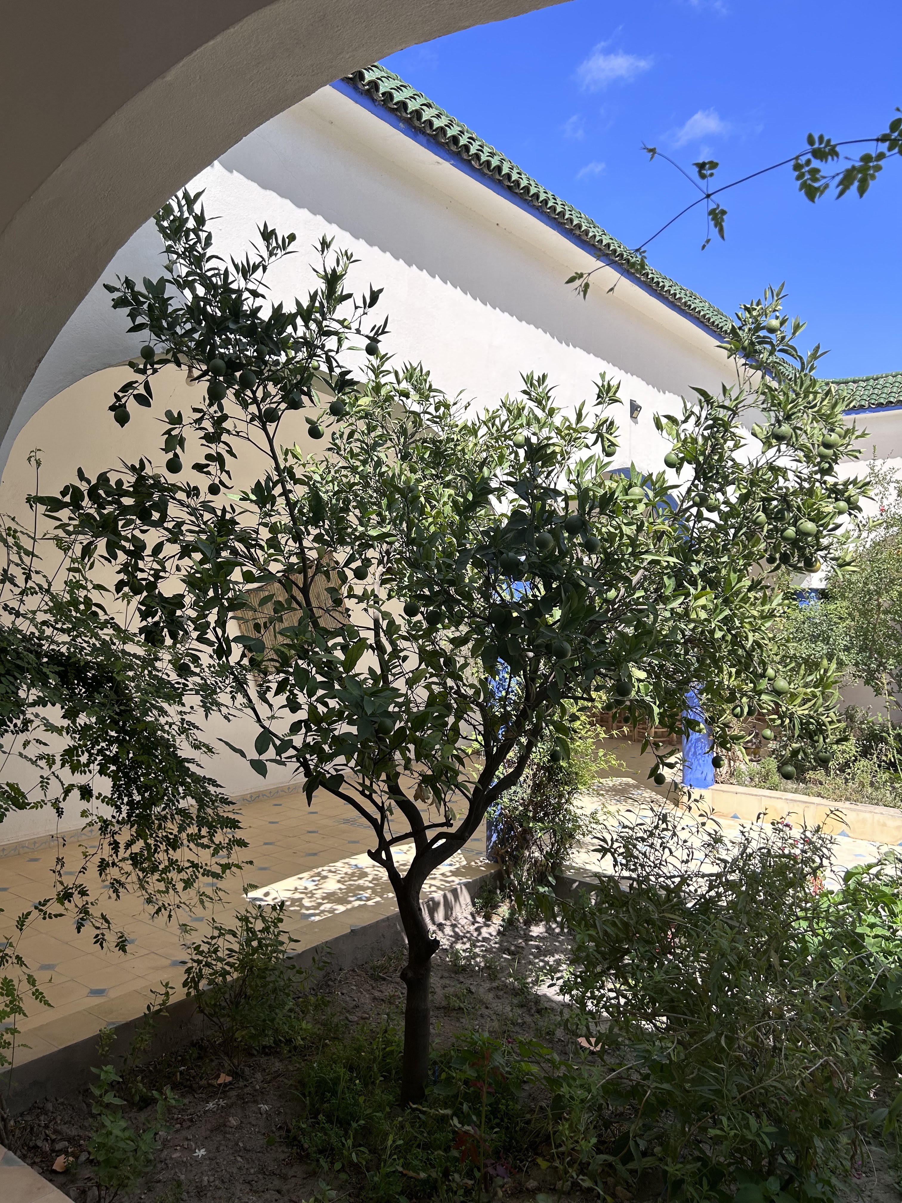 Photo n° 9 de l'avis de Grégoire.g fait le 15/09/2023 à 14:33