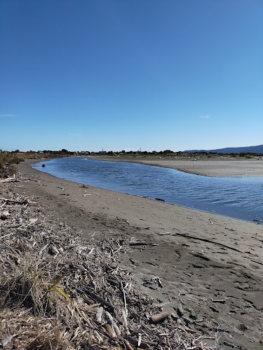Comments and reviews of Waikanae Estuary Scientific Reserve