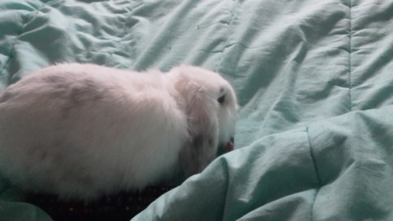 Photo n° 23 de l'avis de Isa.a fait le 01/07/2018 à 22:34