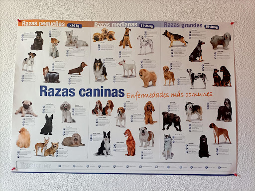 Centro Veterinario Mundo Animal en Alcorcón