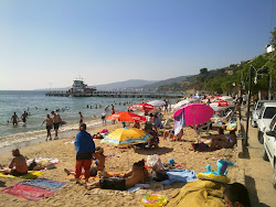 Armutlu Plajı II'in fotoğrafı imkanlar alanı