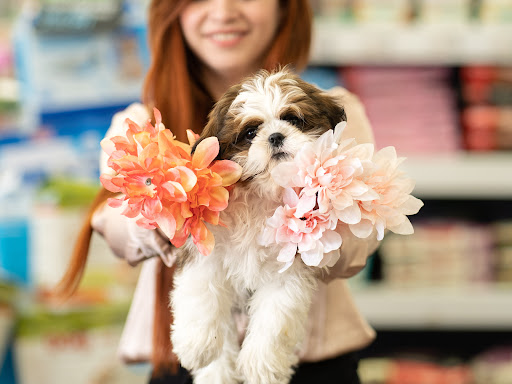 Pet Store «Petland», reviews and photos, 10289 Ulmerton Rd, Largo, FL 33771, USA