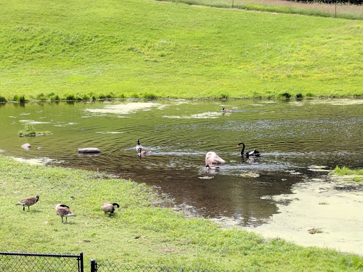 Zoo «Minnesota Zoo», reviews and photos, 13000 Zoo Blvd, Apple Valley, MN 55124, USA