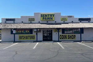 Sentry Pawn image