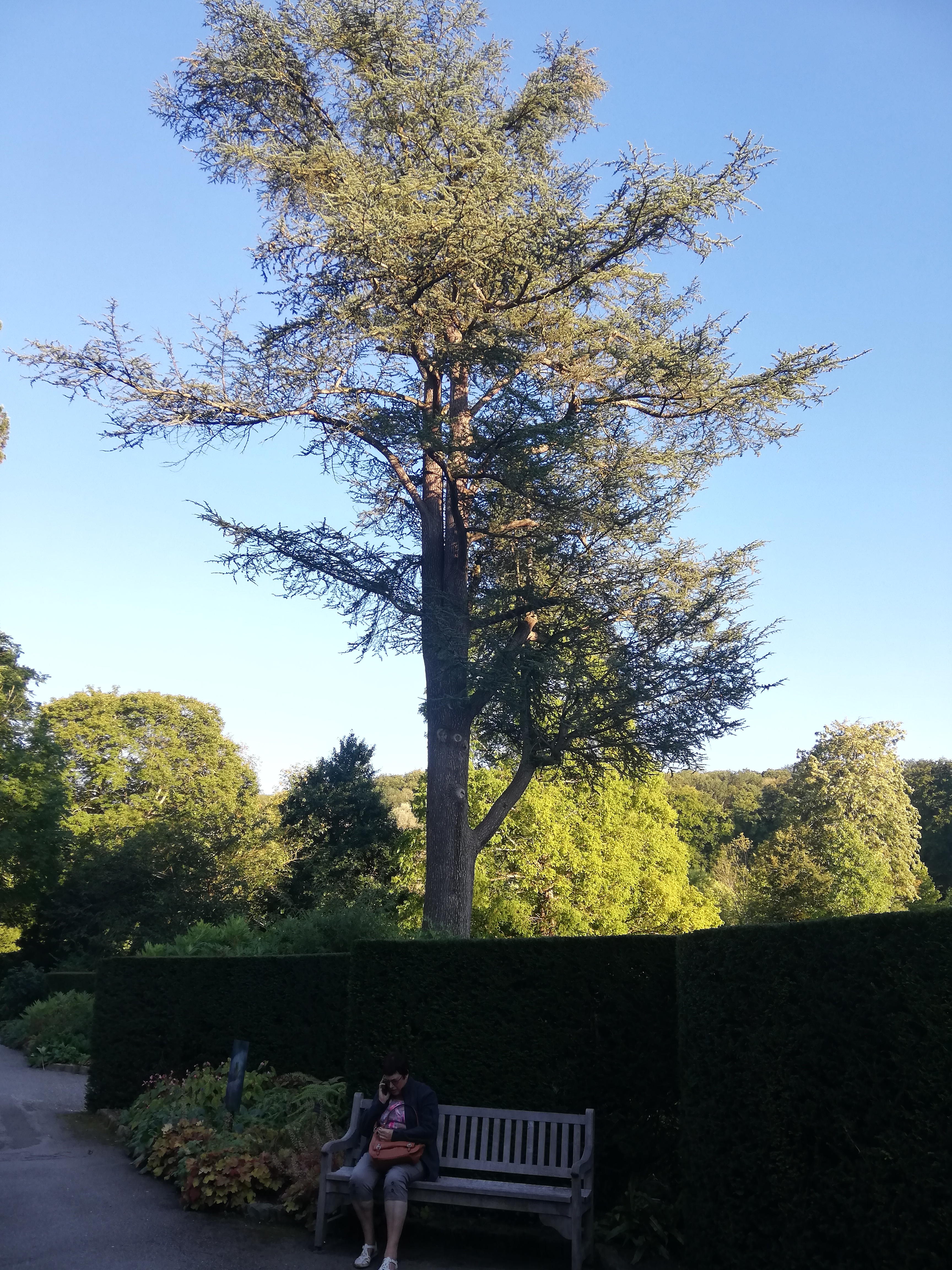 Photo n° 2 de l'avis de Jérôme.r fait le 09/10/2021 à 23:59