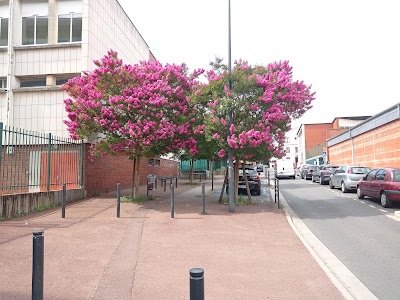 Asa Market à Argenteuil