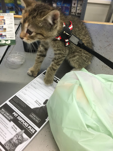 Pet Supply Store «Pet Supplies Plus», reviews and photos, 1237 Concord Pkwy N, Concord, NC 28025, USA
