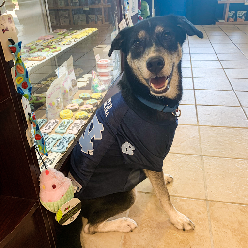 Pet Supply Store «Unleashed the Dog & Cat Store», reviews and photos, 7414 Creedmoor Rd, Raleigh, NC 27613, USA