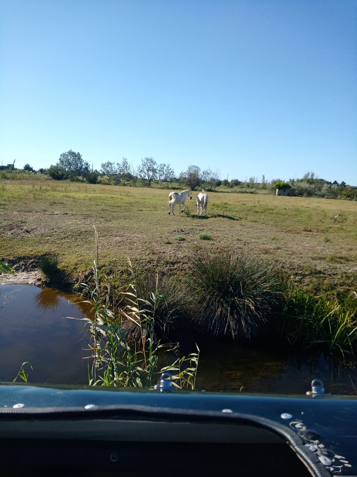 Photo n° 8 de l'avis de Véronique. fait le 21/08/2022 à 17:43