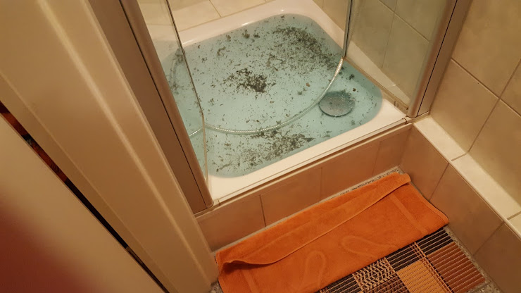 Chambres hôtels Gästehaus Walter 76877 Offenbach an der Queich