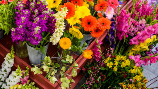 Sweet Meadows Flower Shop, 155 Portland Ave, Dover, NH 03820, USA, 