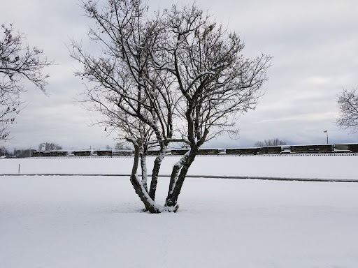 Monument «Fort Stanwix National Monument», reviews and photos, 100 N James St, Rome, NY 13440, USA