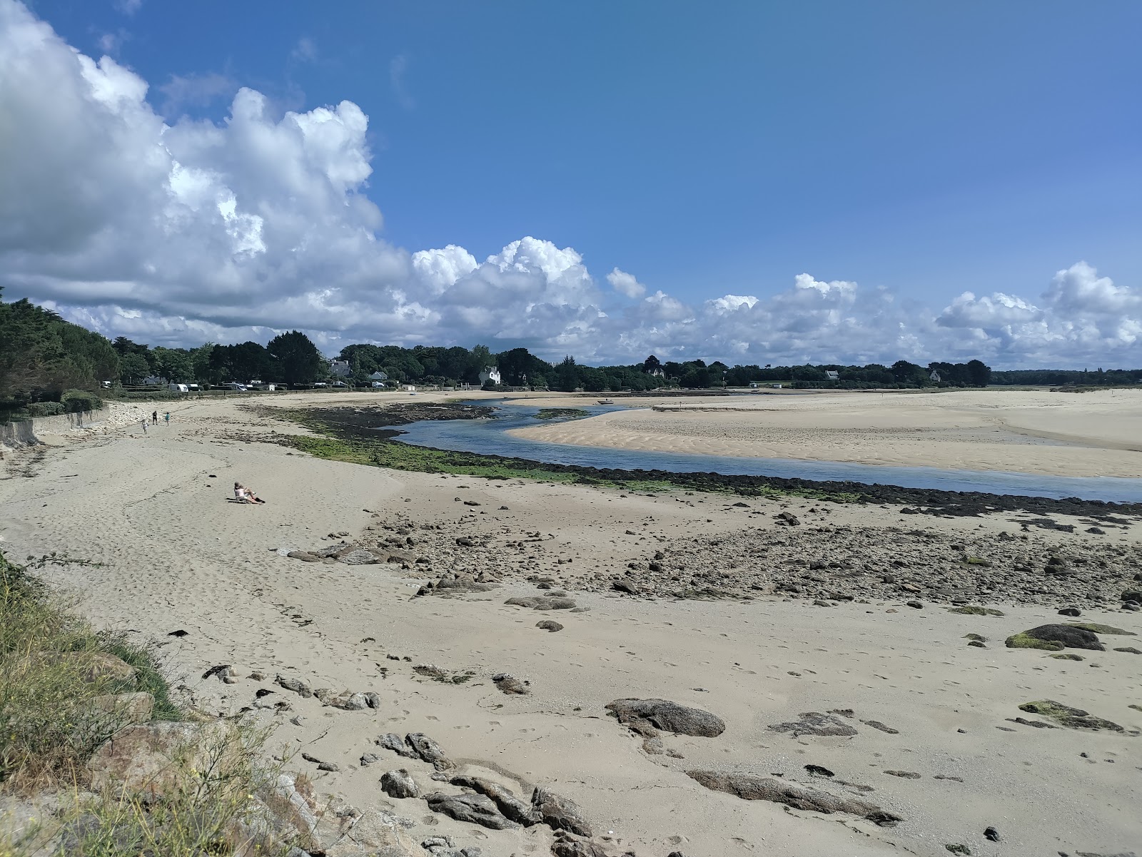 Foto di Plage La Grande Greve con una superficie del sabbia beige