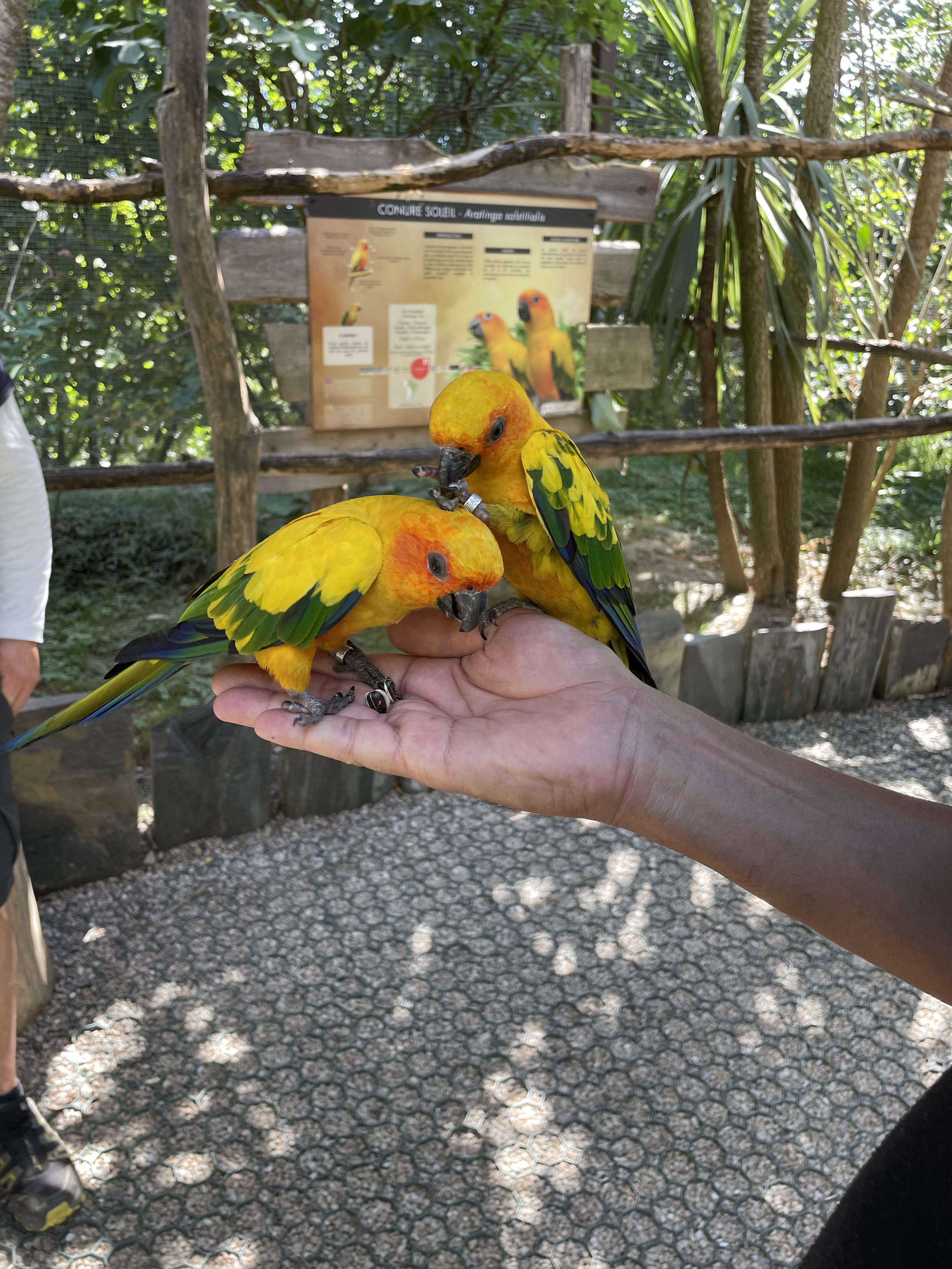 Photo n° 1 de l'avis de La.i fait le 25/08/2022 à 14:34