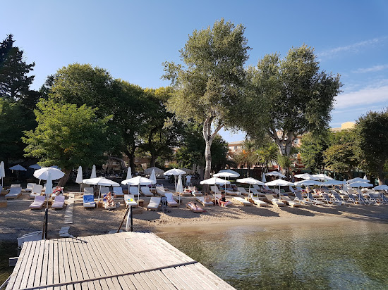 Mon Repos Beach
