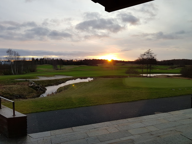 Kommentarer og anmeldelser af The Waters