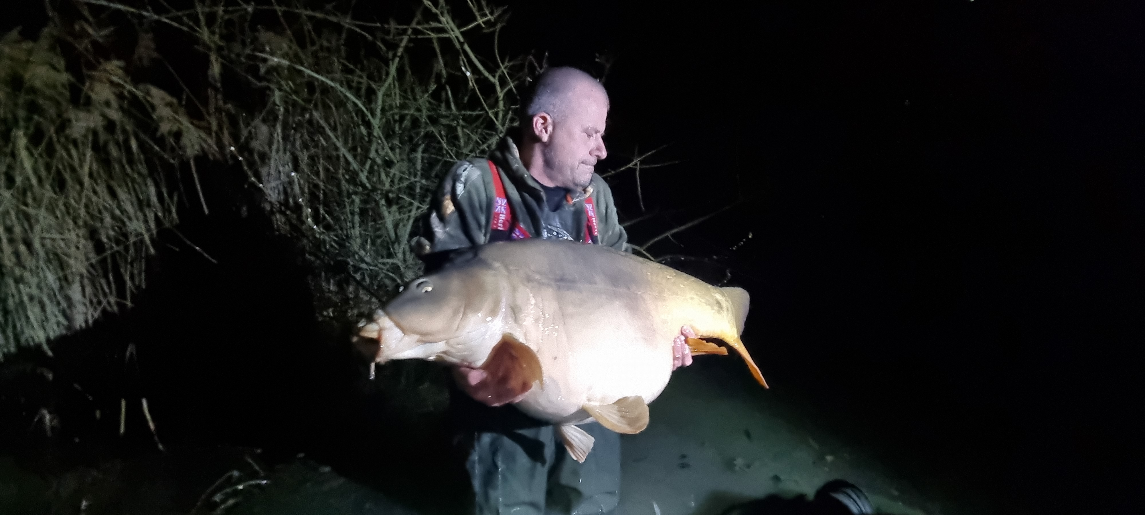 Photo n° 4 de l'avis de Napoleon.y fait le 28/02/2023 à 21:50