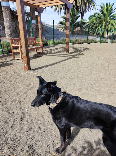 Parque Canino Santa Eulalia