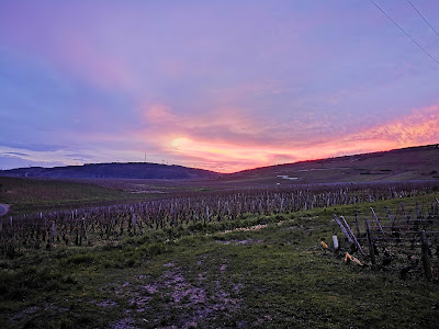 Domaine Leroy SCE à Vosne-Romanée