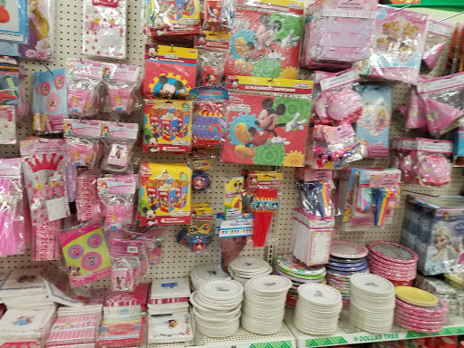 Dollar Store «Dollar Tree», reviews and photos, 250 Jericho Turnpike #80, Floral Park, NY 11001, USA