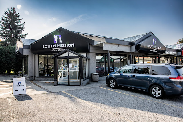 South Mission Animal Hospital