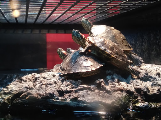 Pet Supply Store «Petco Animal Supplies», reviews and photos, 1401 E Spring Valley Rd, Richardson, TX 75081, USA