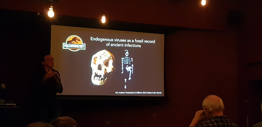 Live Music Venue «Casita Del Polaris», reviews and photos, 1201 N Tioga St, Ithaca, NY 14850, USA