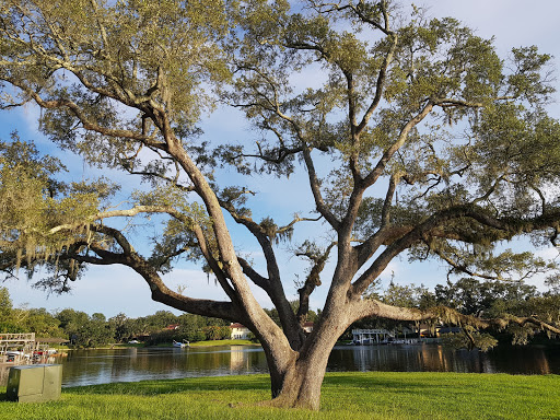 Park «Balis Park», reviews and photos, 1999 San Marco Blvd, Jacksonville, FL 32207, USA