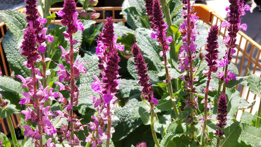 Home Improvement Store «The Home Depot», reviews and photos, 3101 Manawa Center Dr, Council Bluffs, IA 51501, USA